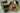 Pulley, K-8 2.5 inch serpentine, 0.875 inch bore, 5539, two gold-yellow zinc-plated eight-rib pulleys, side and face