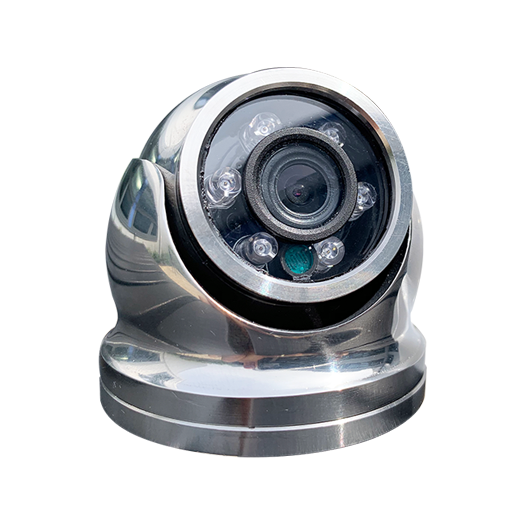 Iris IRIS-S060 4-in-1 stainless dome camera 00002-008, black 3.6 mm lens, shown as polished steel dome, IR LEDs
