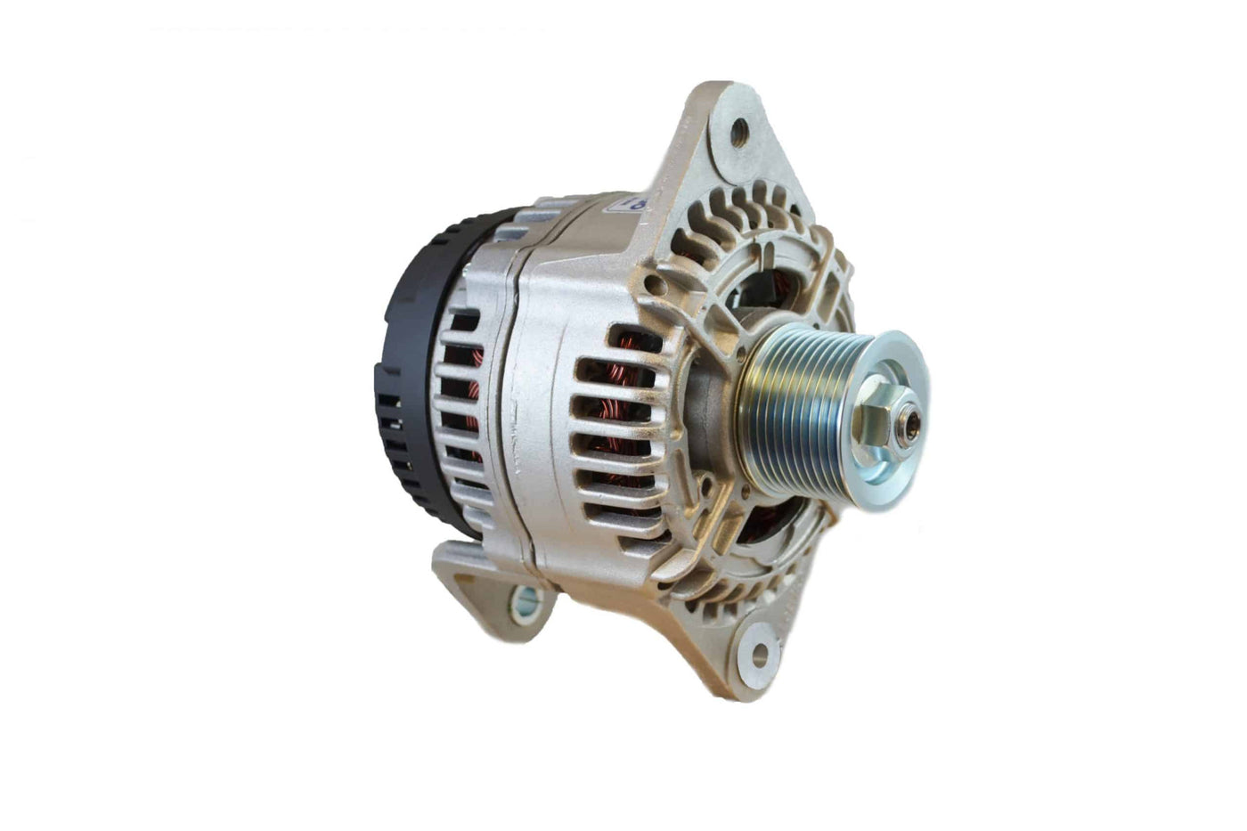 Alternator, 96 Series, 100a, 48v, SaddleMT, 4in, DualPul, IsoGrd