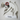 Offshore Repair Kit, 90 Series, 12/24v, (incl bearings, brushes, pos/neg diodes) - 7090