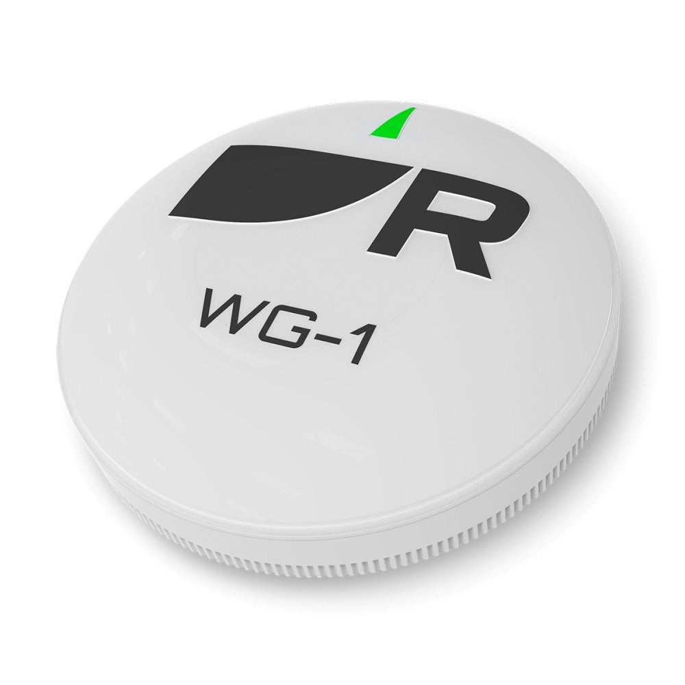 Raymarine WG-1 Wireless Gateway (R70947)