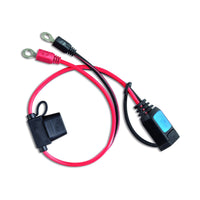 Victron M6 Eyelet Connector with Fuse